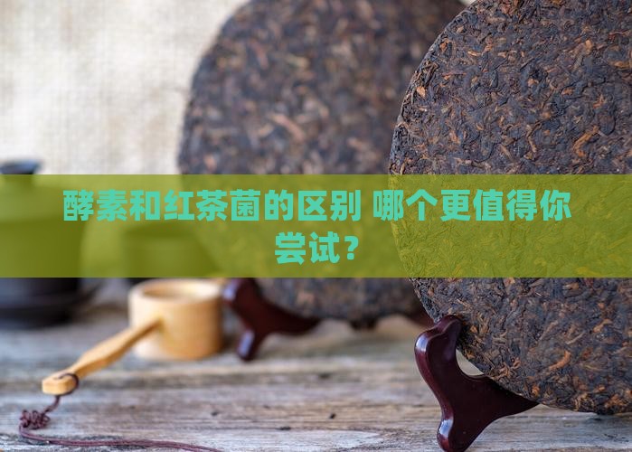 酵素和红茶菌的区别