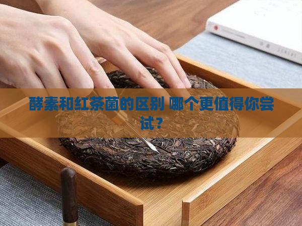 酵素和红茶菌的区别