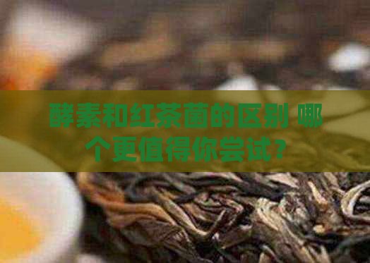 酵素和红茶菌的区别