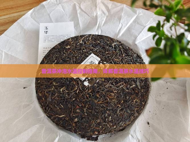 泡普洱茶怎么控制水温