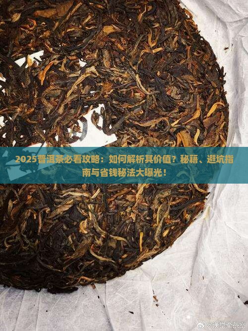 怎么看待普洱茶
