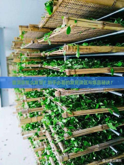 普洱茶怎么发窖