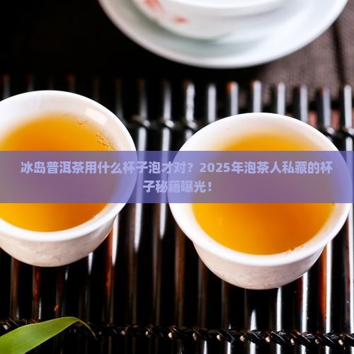 冰岛普洱茶用什么杯子泡好
