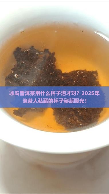冰岛普洱茶用什么杯子泡好