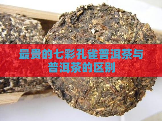 最贵的七彩孔雀茶叶