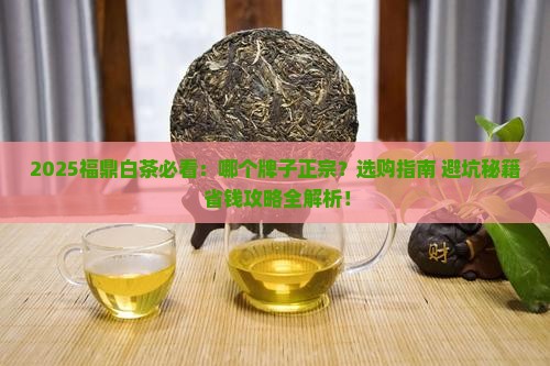 福鼎白茶什么牌子正宗