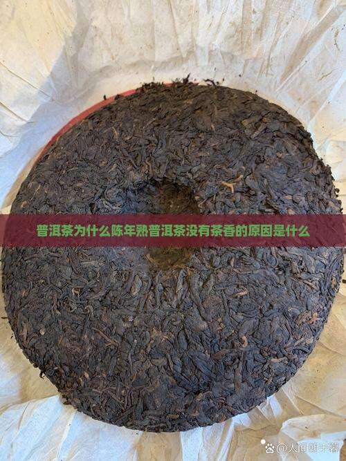陈年熟普洱茶没有茶香