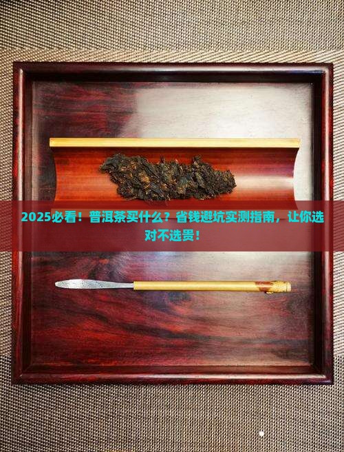 普洱茶买什么品牌
