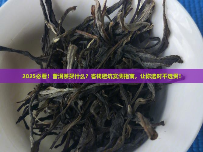 普洱茶买什么品牌