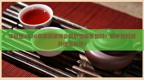 华巨臣2020年深圳茶博会