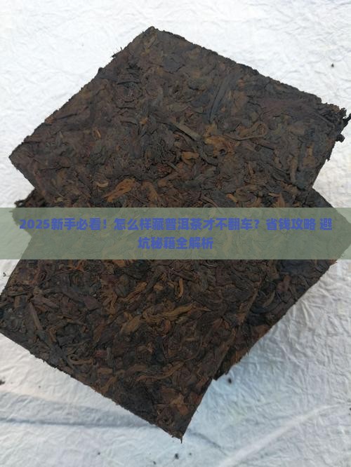 怎么样藏普洱茶