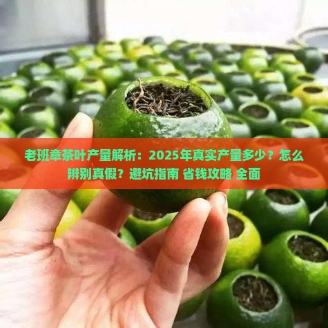 老班章茶叶产量