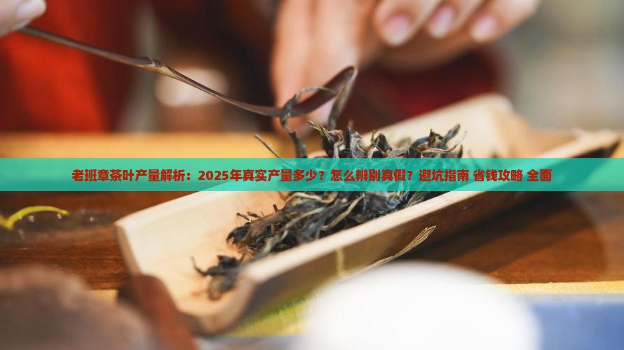 老班章茶叶产量