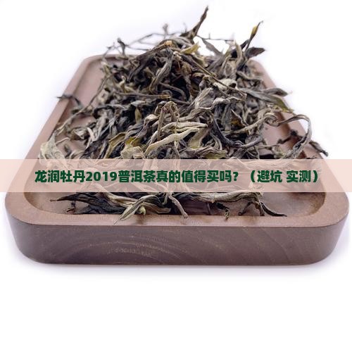 龙润牡丹2019普洱茶