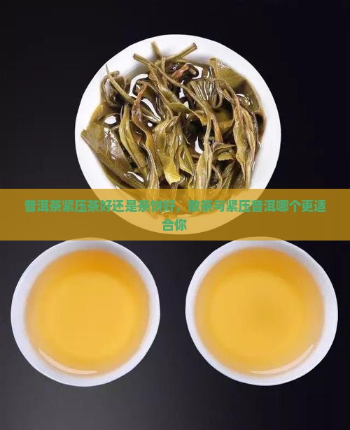 普洱茶紧压茶好还是茶饼好