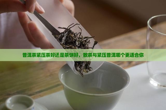 普洱茶紧压茶好还是茶饼好