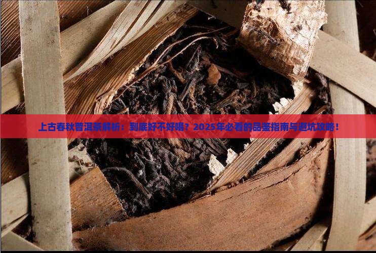 上古春秋普洱茶怎么样好喝吗