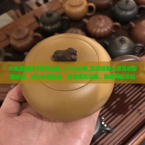大普洱茶的作用与功效