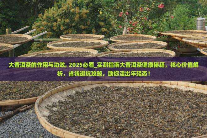 大普洱茶的作用与功效