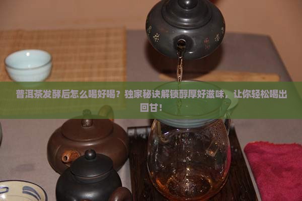 普洱茶发酵后怎么喝好喝