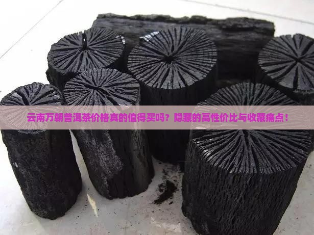云南万朝普洱茶价格