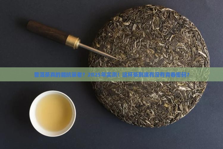 普洱茶有没有抗衰老功效