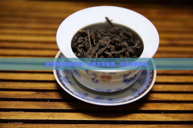 惠州圣和老班章直播