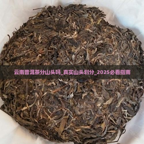 云南普洱茶分山头吗