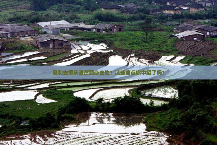 垦利去重庆渣滓洞必去地