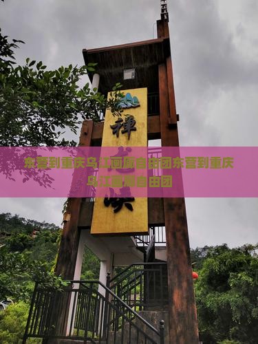 东营到重庆乌江画廊自由团