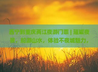 西宁到重庆两江夜游门票