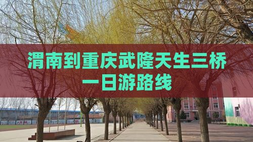 渭南到重庆武隆天生三桥一日