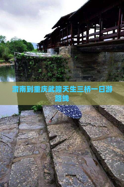 渭南到重庆武隆天生三桥一日
