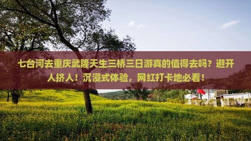 七台河去重庆武隆天生三桥三日游