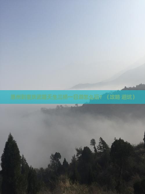 惠州到重庆武隆天生三桥一日