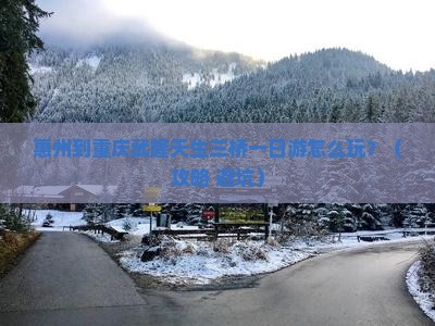 惠州到重庆武隆天生三桥一日