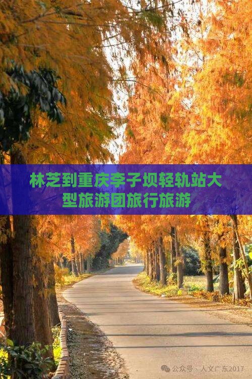 林芝到重庆李子坝轻轨站大型旅游团