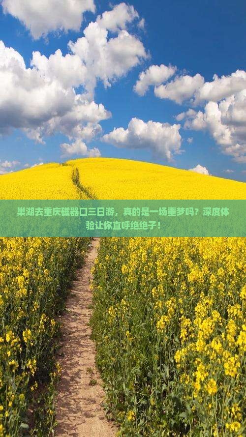 巢湖去重庆磁器口三日游 巢湖去重庆磁器口三日游