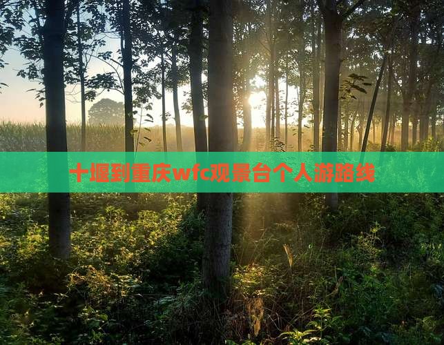 十堰到重庆wfc观景台个人游 十堰到重庆wfc观景台个人游