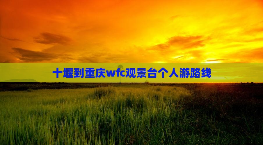 十堰到重庆wfc观景台个人游 十堰到重庆wfc观景台个人游
