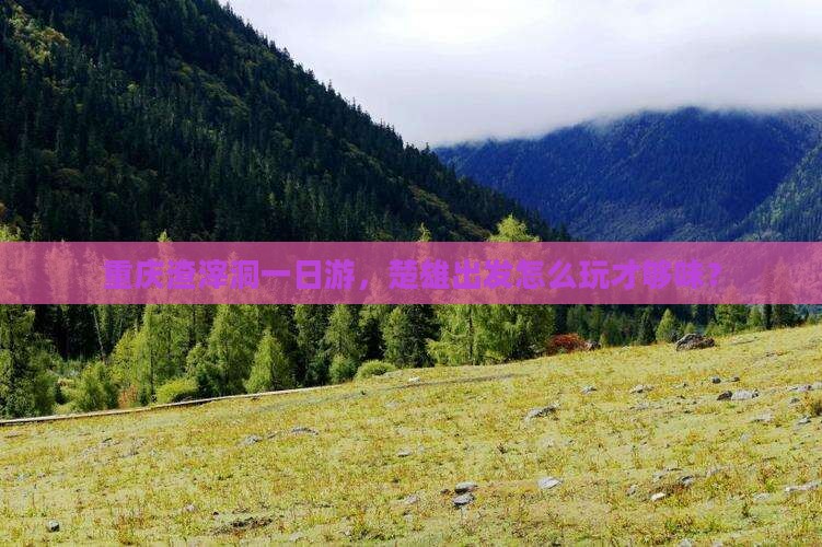 楚雄去重庆渣滓洞哪里玩