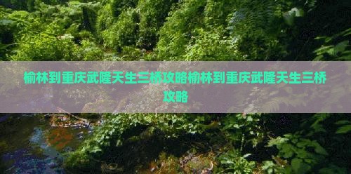 榆林到重庆武隆天生三桥攻略