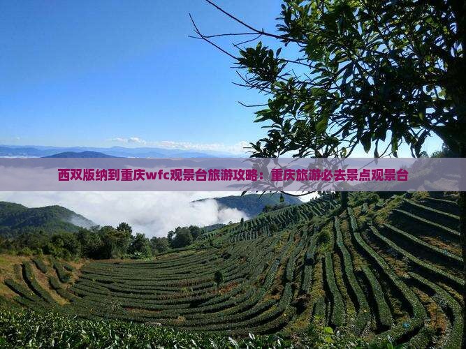 西双版纳到重庆wfc观景台必去地