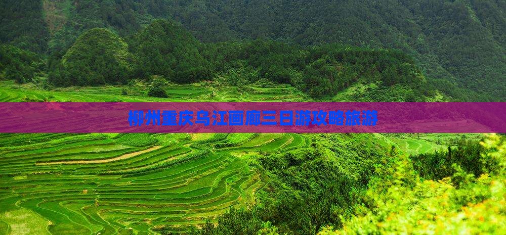 柳州去重庆乌江画廊三日游
