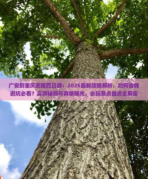 广安到重庆武隆四日游