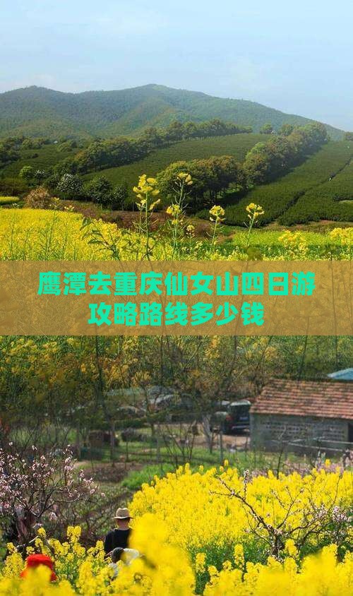 鹰潭去重庆仙女山四日游
