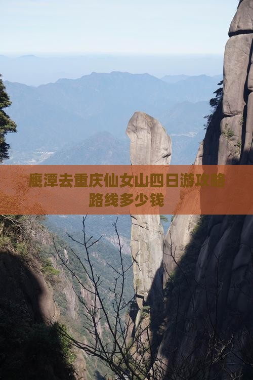 鹰潭去重庆仙女山四日游