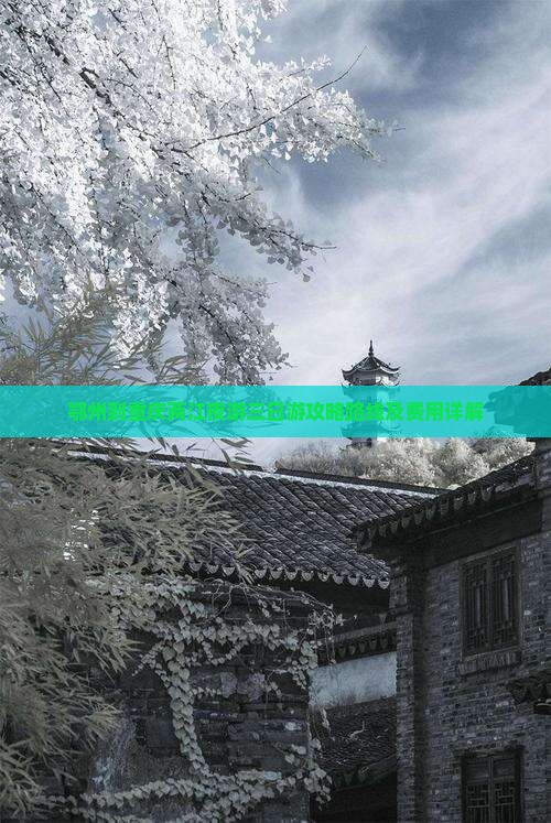 鄂州到重庆两江夜游三日游