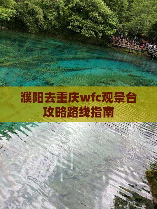 濮阳去重庆wfc观景台攻略