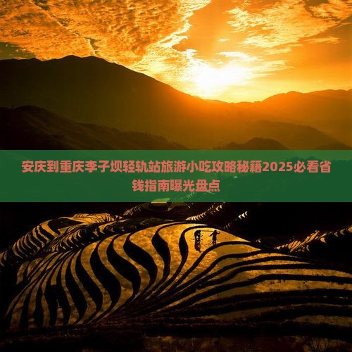 安庆到重庆李子坝轻轨站旅游小吃
